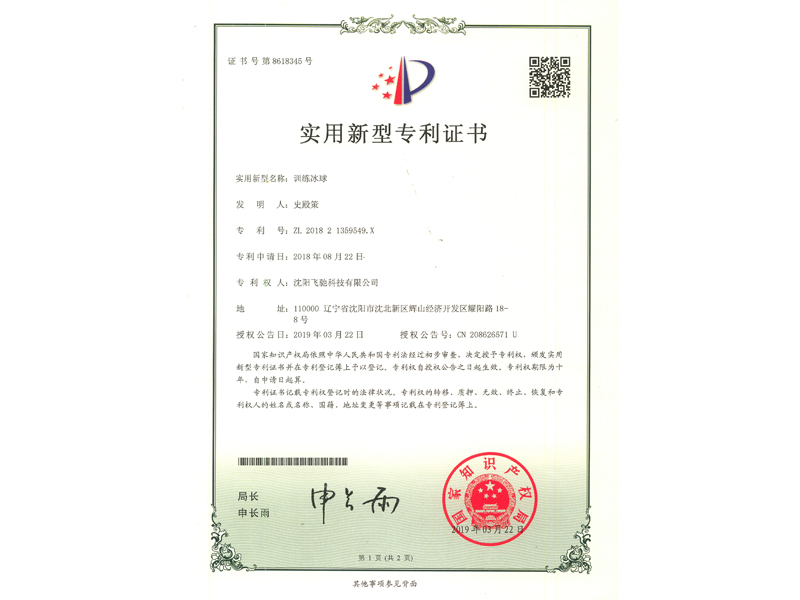 公司專利證書